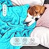 Single Micro Fleece Flannel Blanket